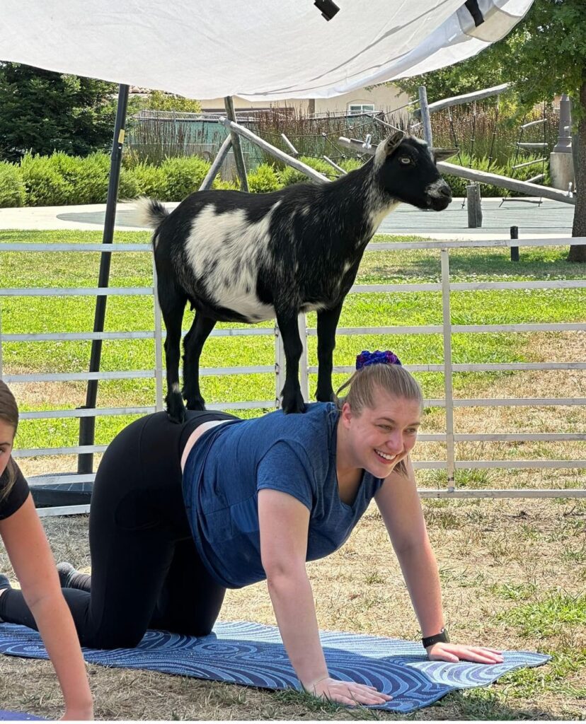 Goat Yoga