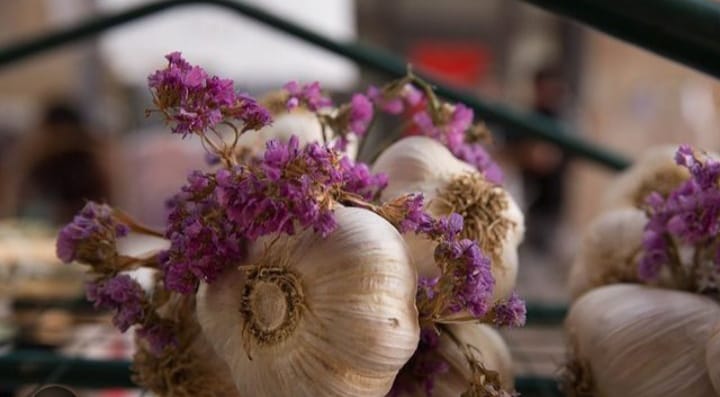 Clove of garlic