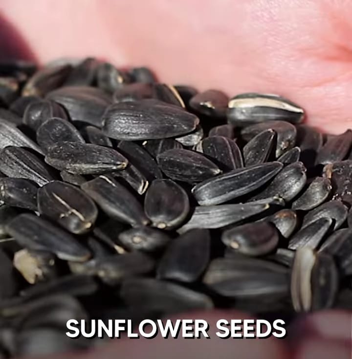 Sunflower Seeds