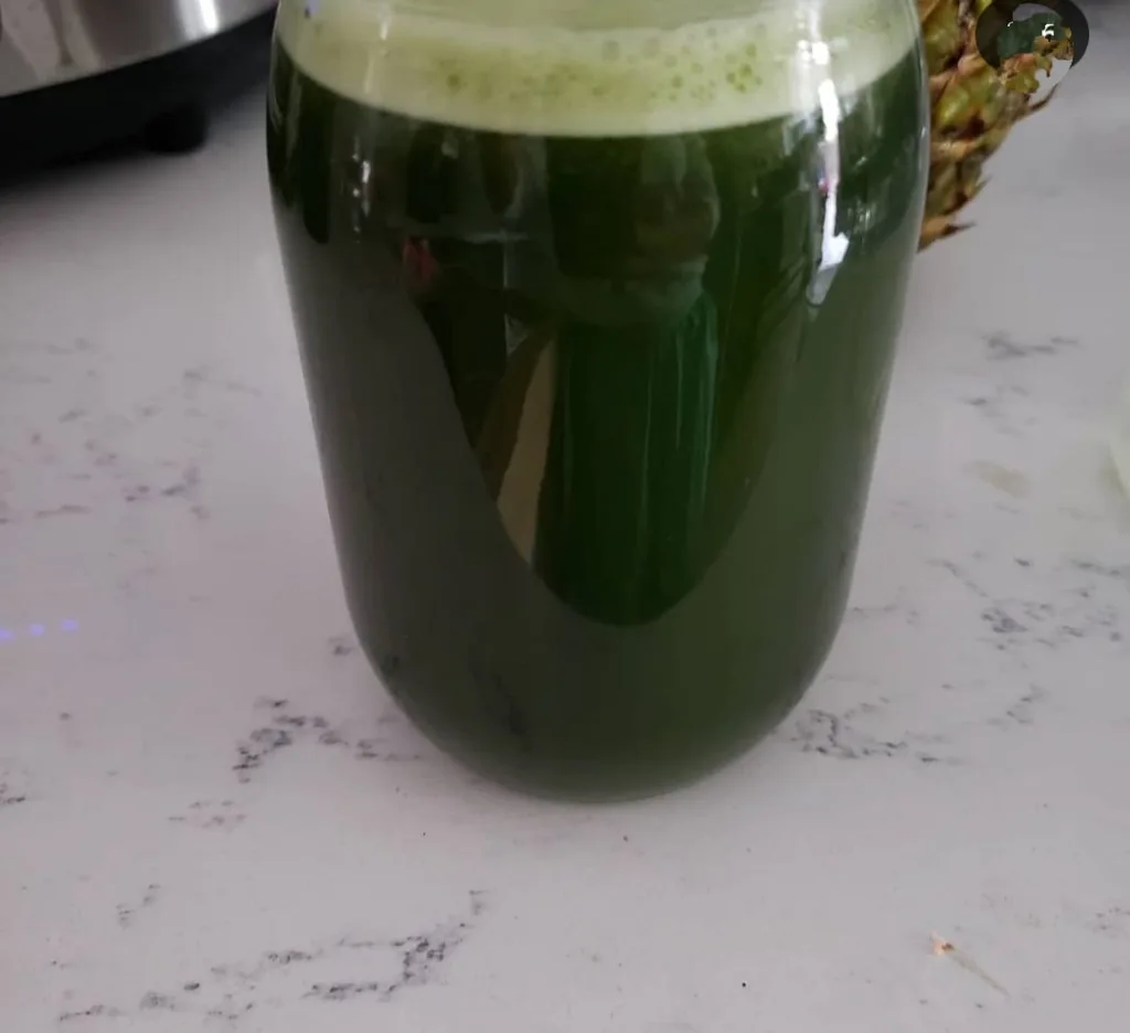 Vegetable Juice