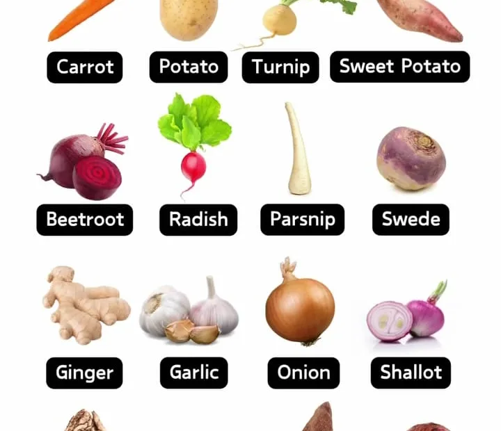 vegetable