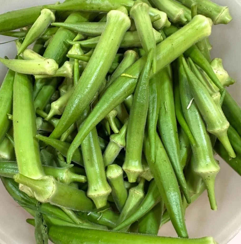 Okra