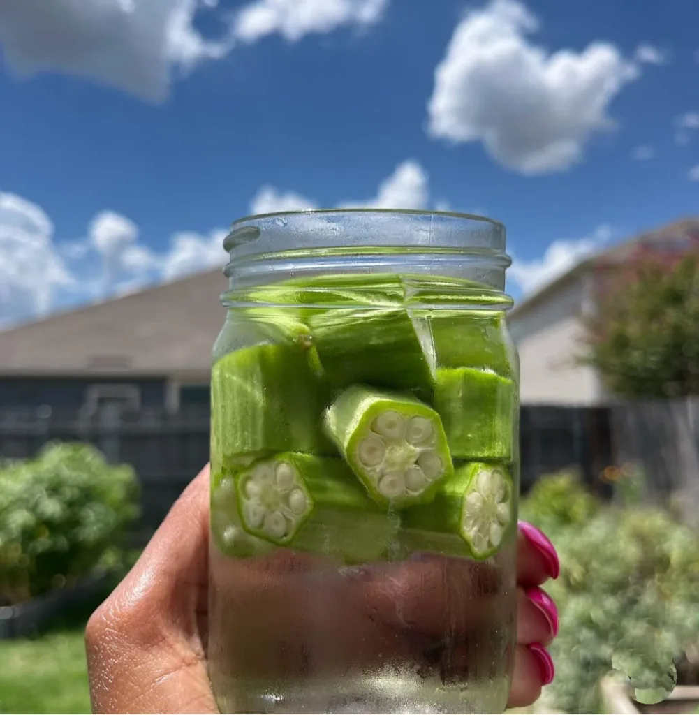 Okra Water