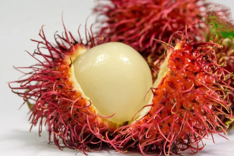 Rambutan Fruit