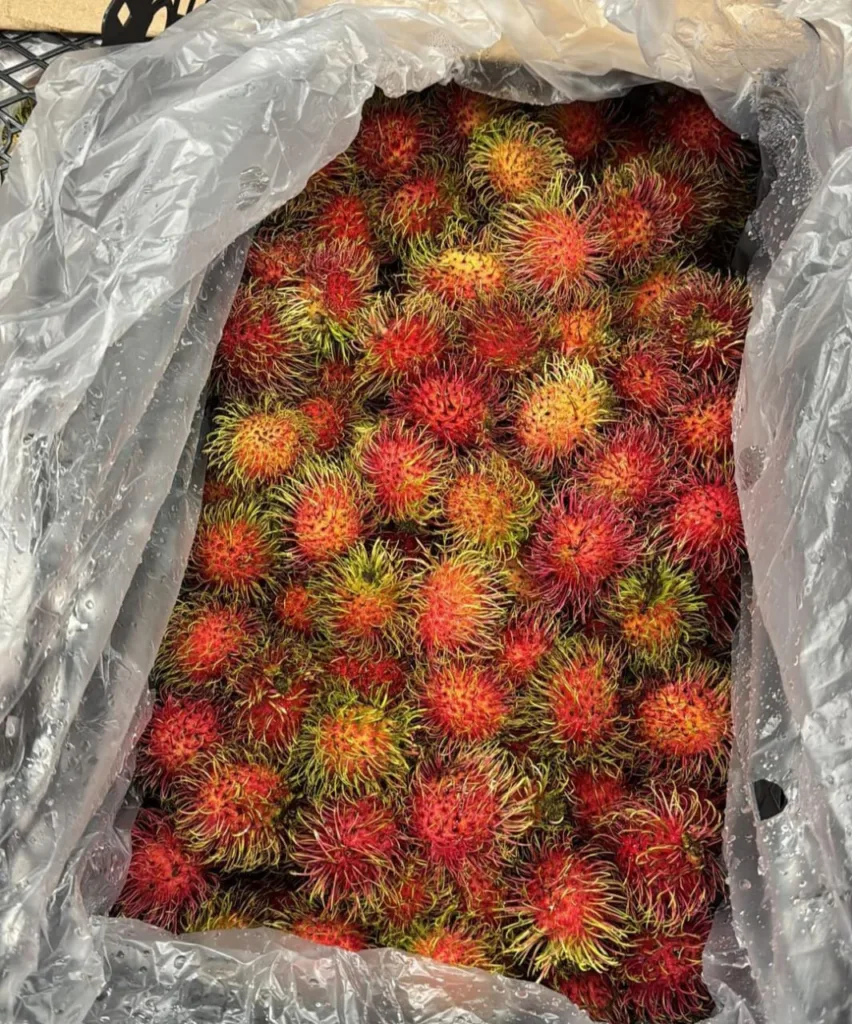 Rambutan Fruit