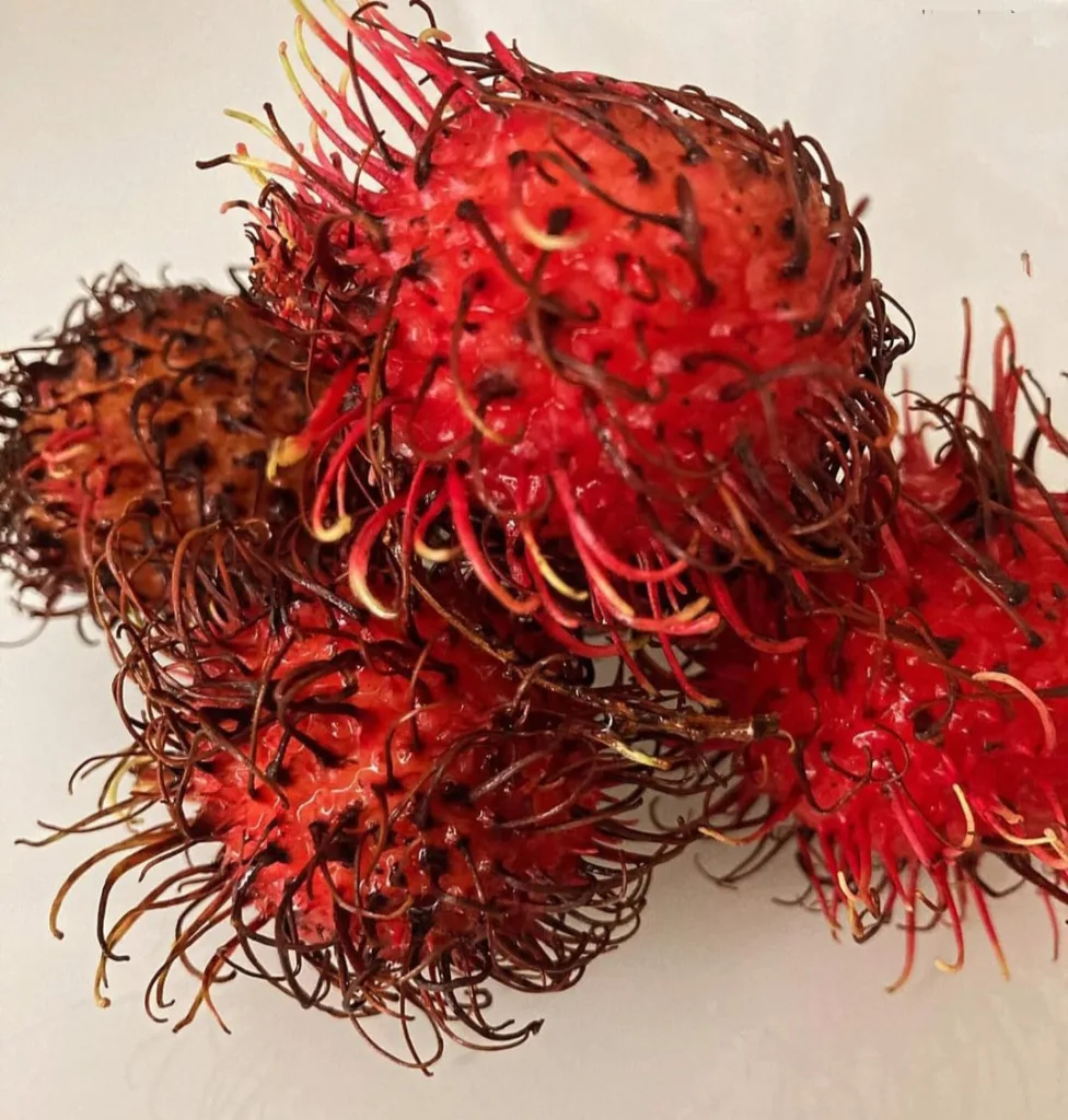 Rambutan Fruit